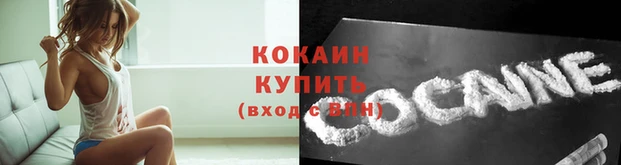 бошки Козловка
