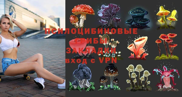 бошки Козловка