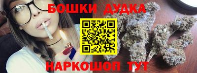 крисы Абакан