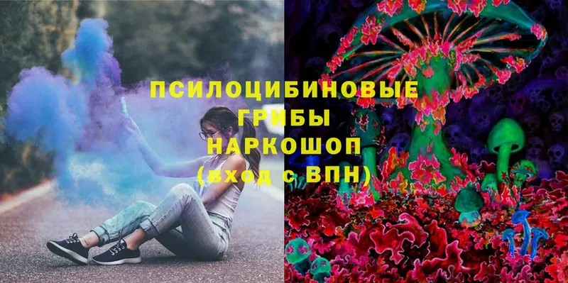 Галлюциногенные грибы Cubensis  Октябрьский 