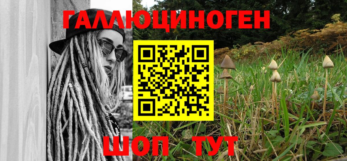 Псилоцибиновые грибы прущие грибы  Вход с VPN  Псилоцибиновые грибы Magic Shrooms  Октябрьский 