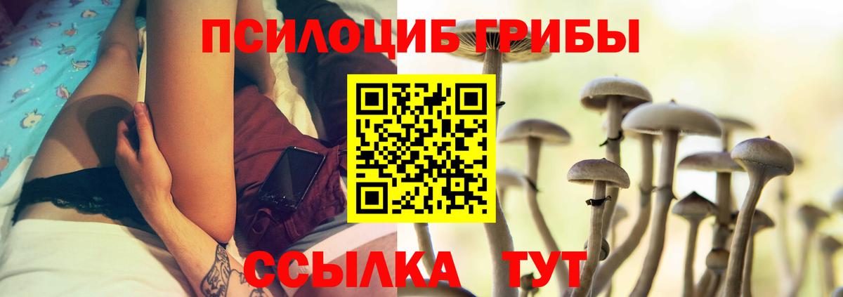 Псилоцибиновые грибы GOLDEN TEACHER  Галлюциногенные грибы Psilocybe  Октябрьский 